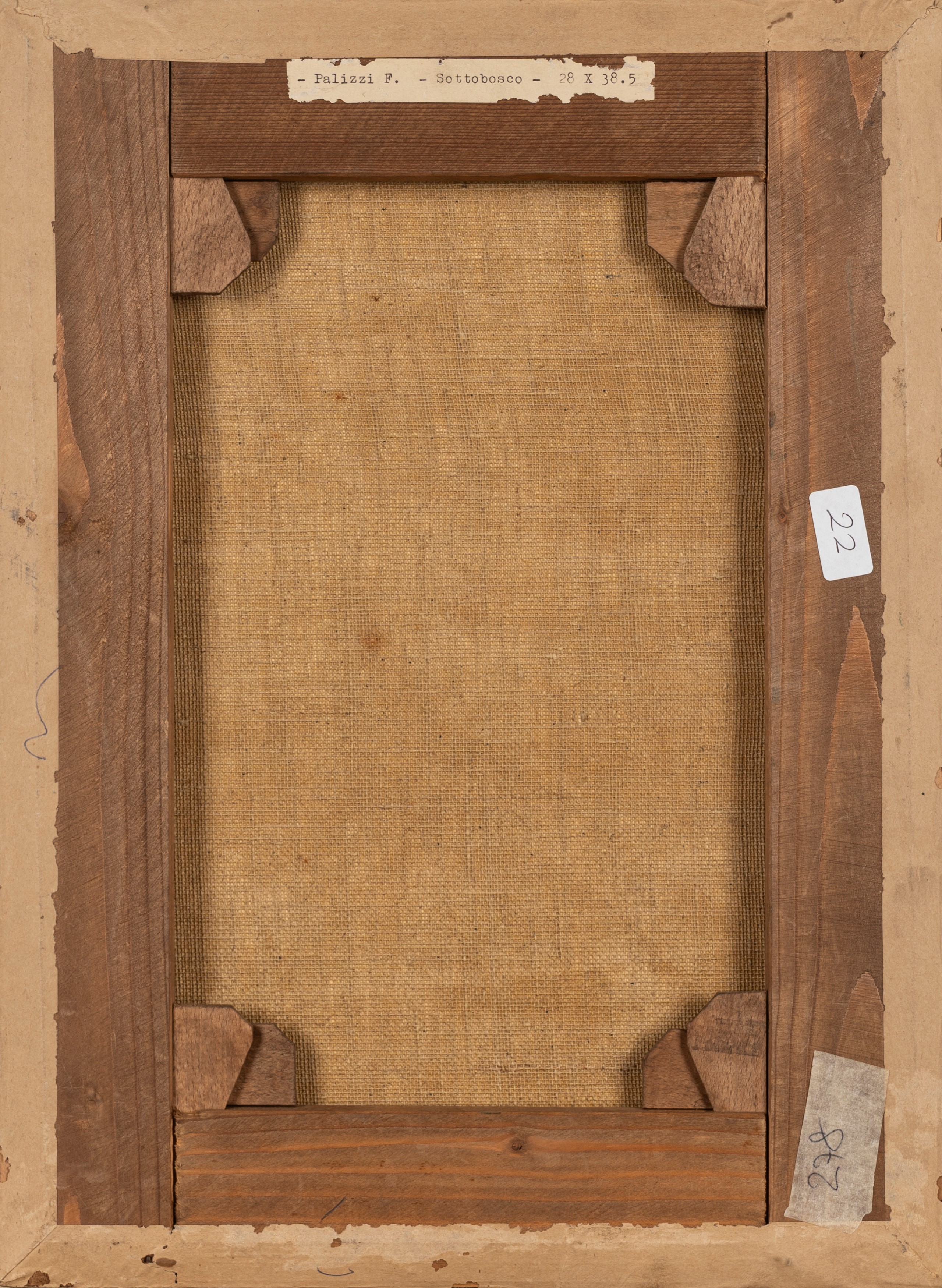 Tre dipinti raffiguranti studi di vegetazione