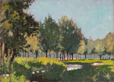Campagna a Feriolo, olio su tavola