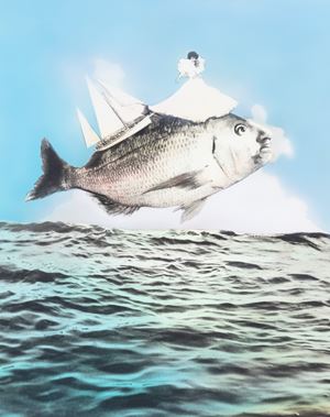 Pesce Volante