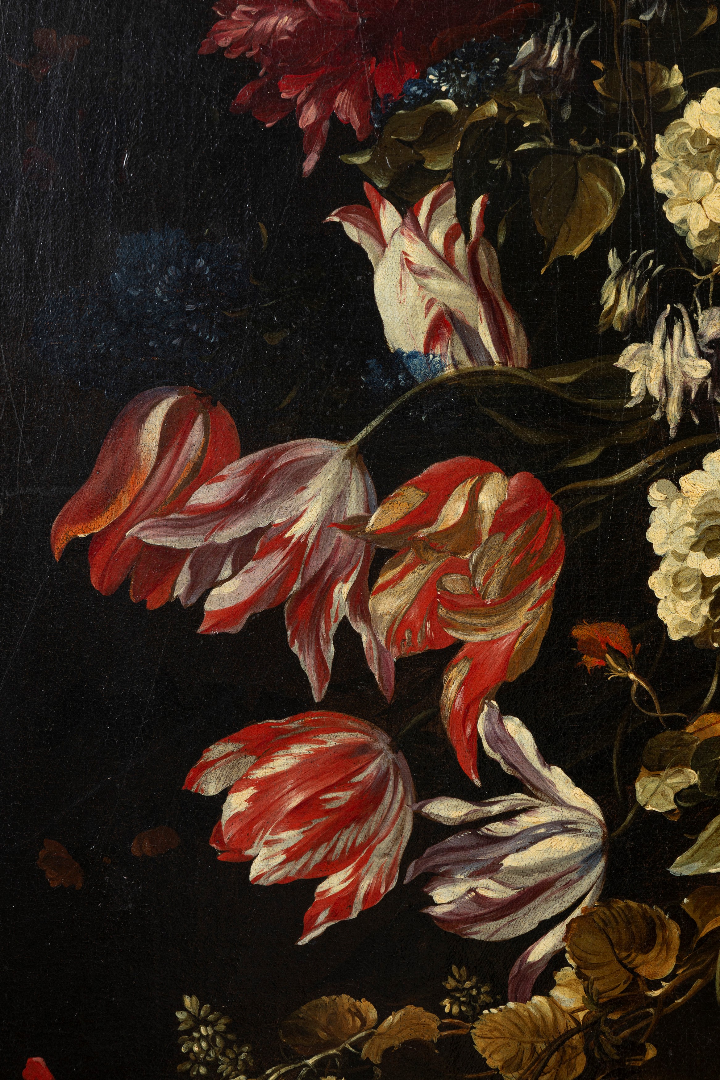 Paolo Porpora - Fiori in un vaso decorato con putti, olio su tela