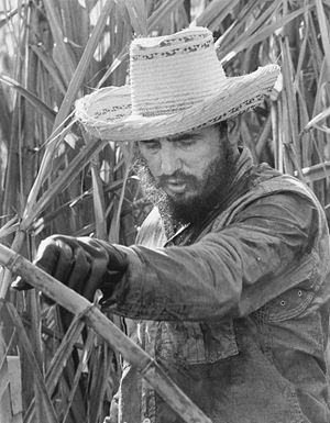 Fidel Castro. Corte de Cana