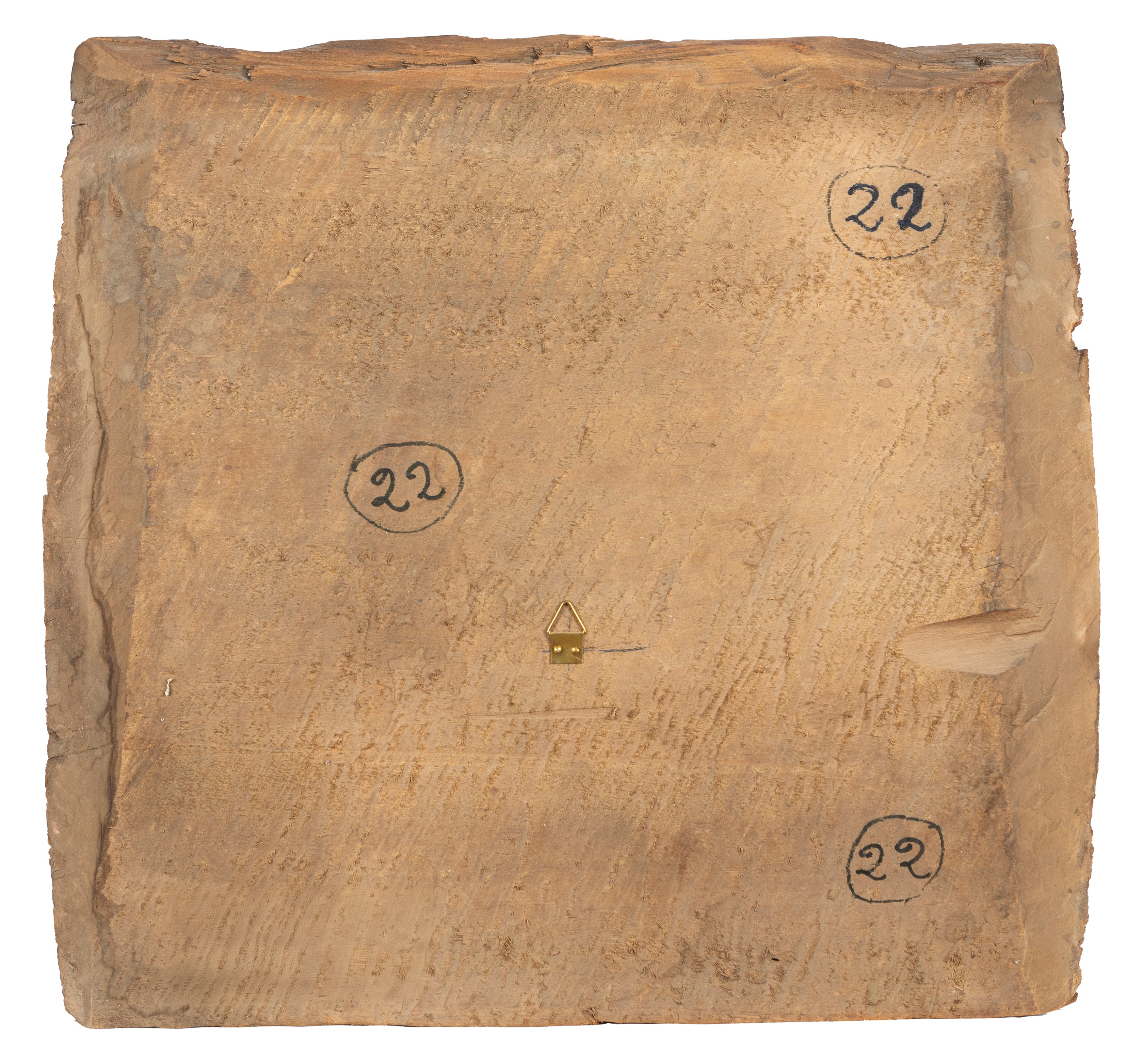 Scuola Cremonese, Secolo XVI - Ritratto di gentiluomo e Ritratto di gentildonna, coppia di tavell...