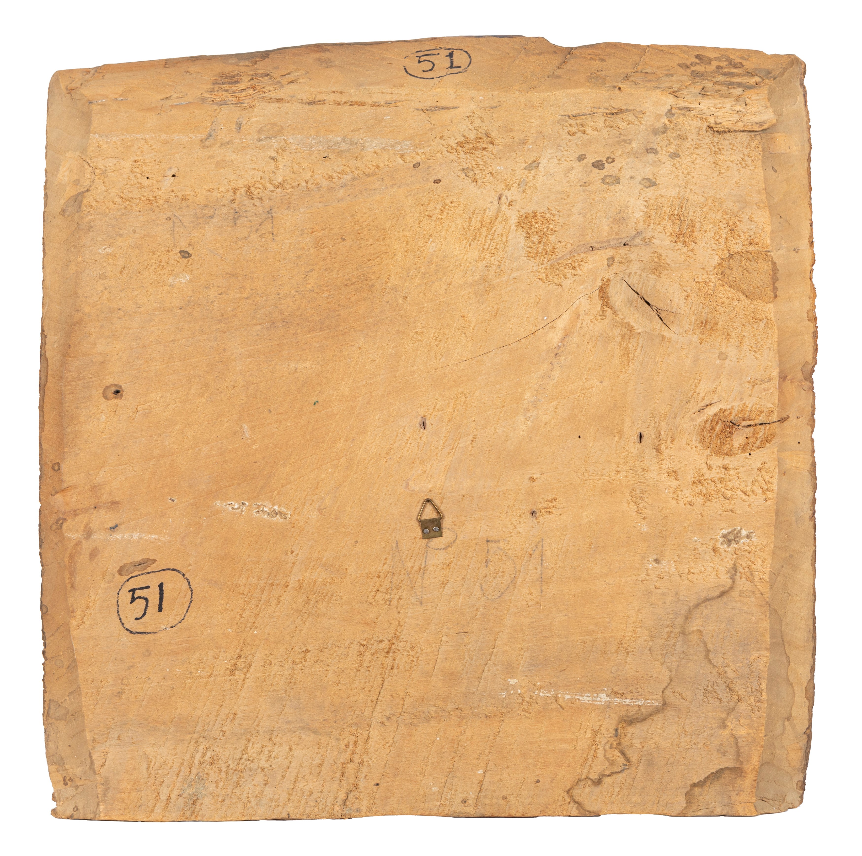 Scuola Cremonese, Secolo XVI - Ritratto di gentiluomo e Ritratto di gentildonna, coppia di tavell...