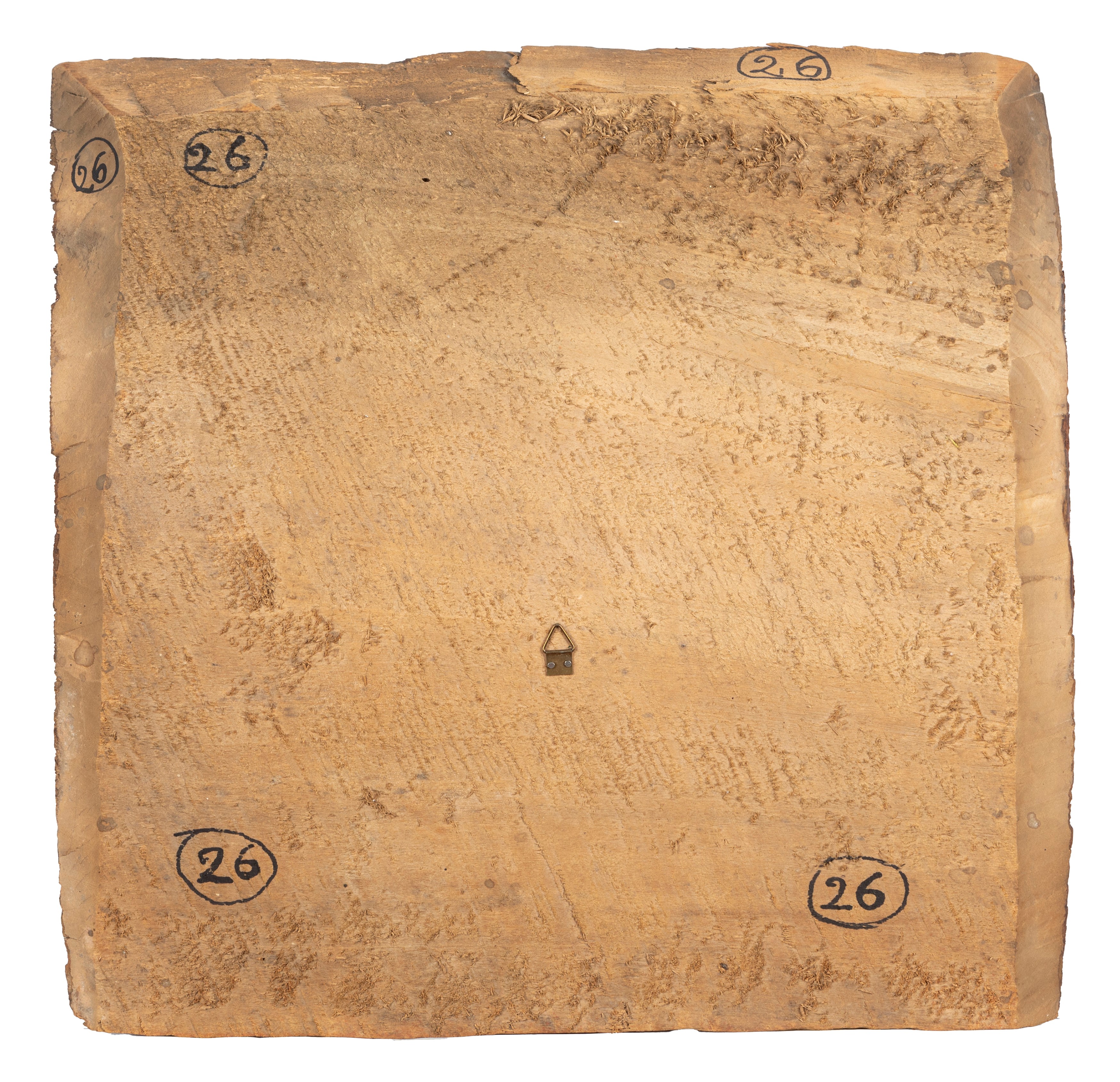 Scuola Cremonese, Secolo XVI - Ritratto di gentiluomo e Ritratto di gentildonna, coppia di tavell...