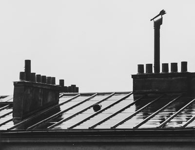 Senza Titolo