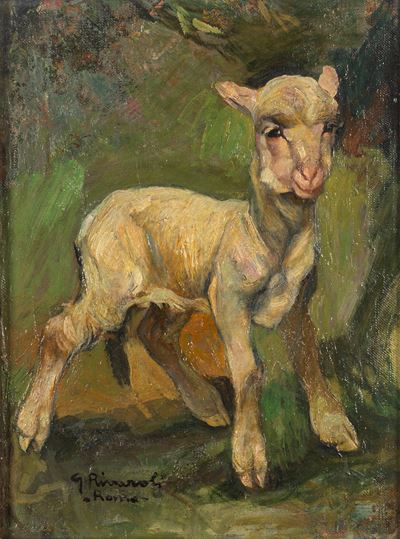 Agnellino
