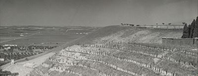 Paesaggio in Puglia, stampa vintage alla gelatina ai sali d’argento