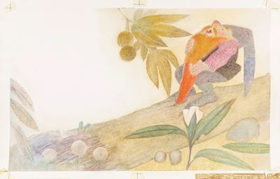 Biancarosa e Rosella - tempera su cartone