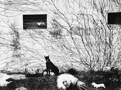 Autoritratto con cane nero, Stampa vintage alla gelatina ai sali d'argento