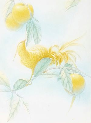 L'uccello d'oro