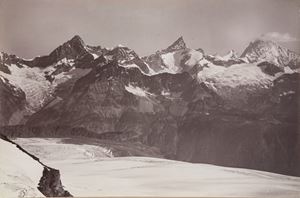 Gabelliorn - Rothkorn