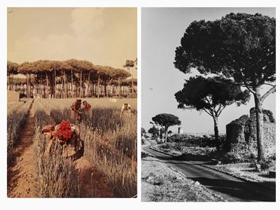 Senza Titolo (campagna)