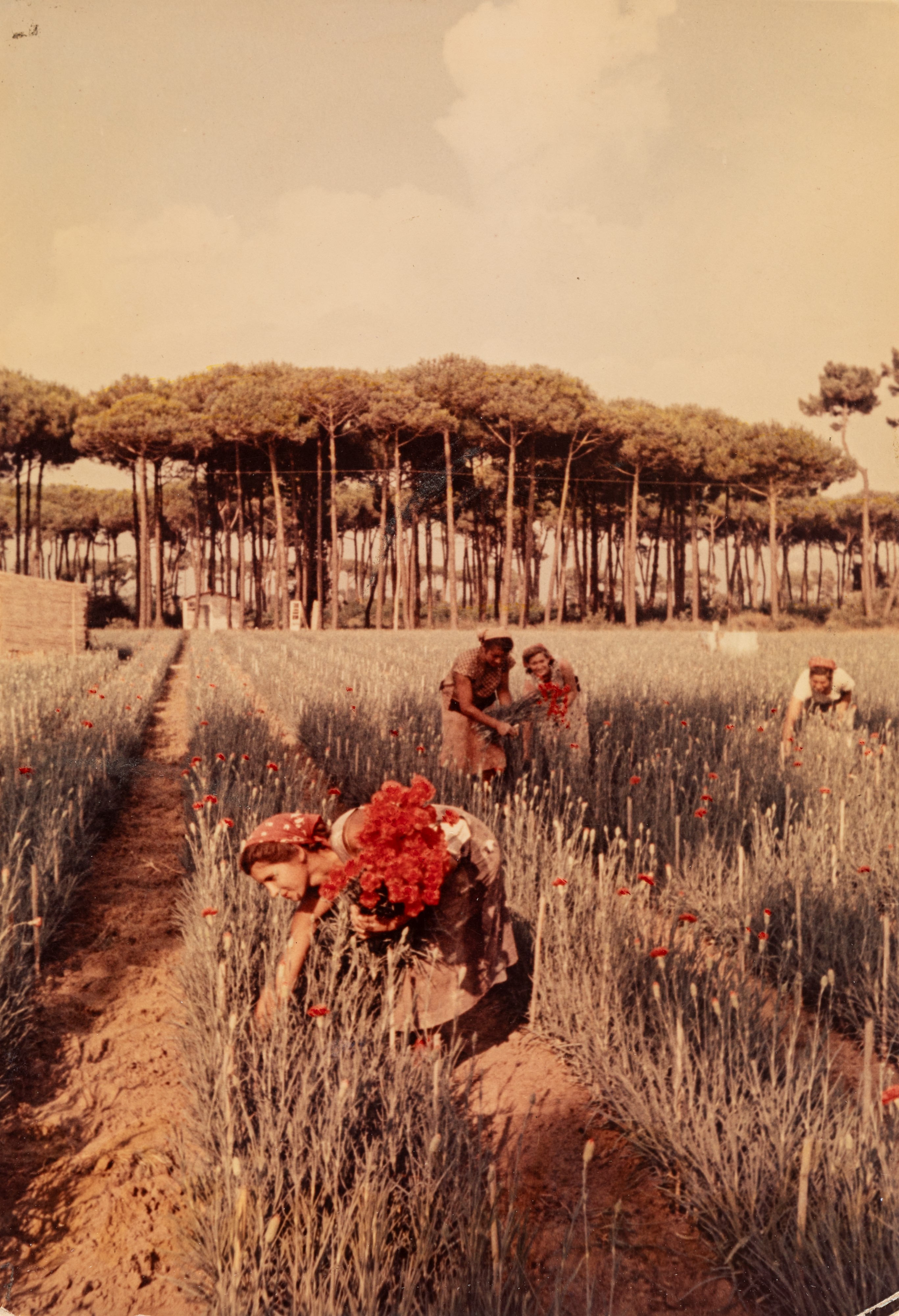 Riccardo Moncalvo - Senza Titolo (campagna)