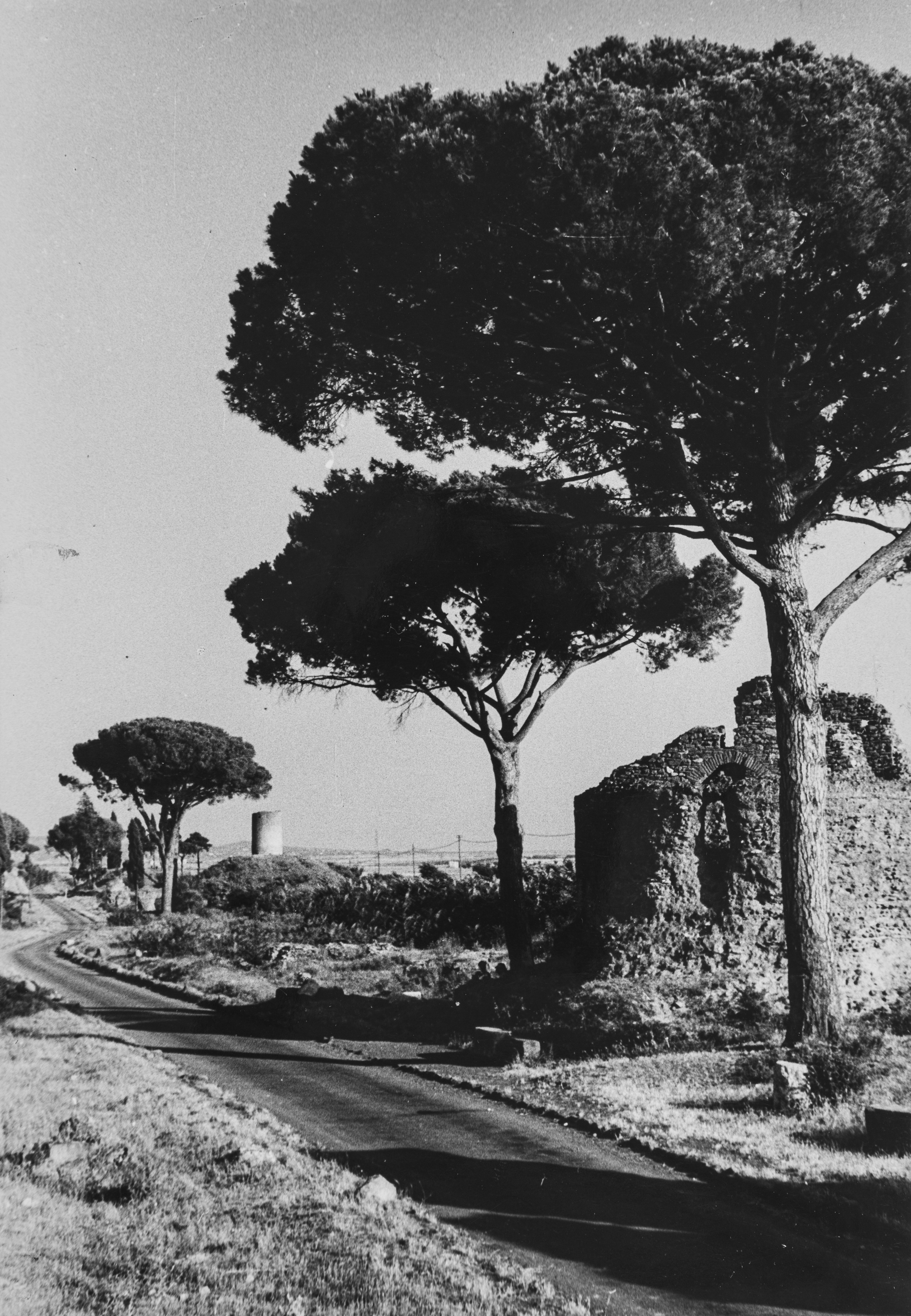 Riccardo Moncalvo - Senza Titolo (campagna)