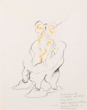 I modelli dell'elefantino