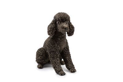 Cane Barboncino Furry