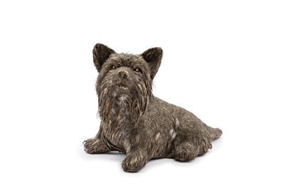 Cane Yorkshire Terrier Furry