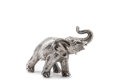 Elefante