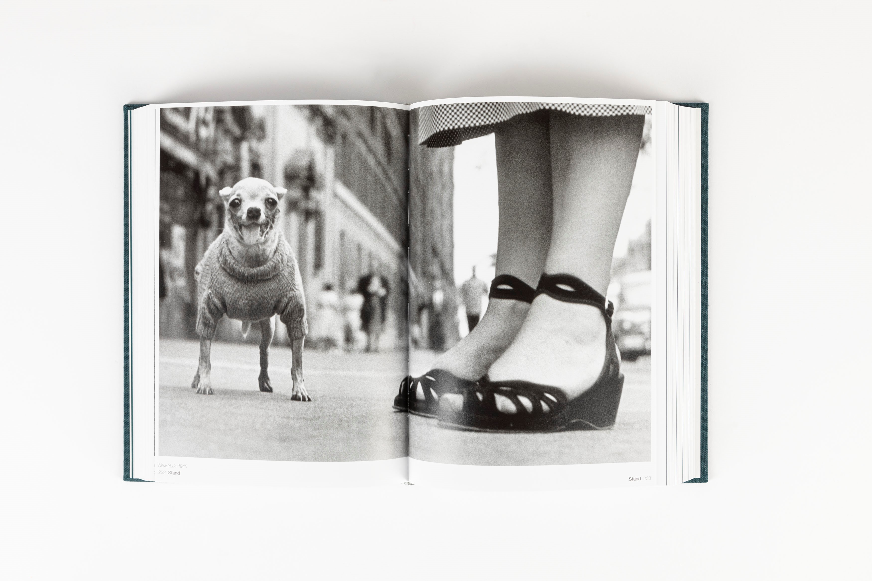 Provence, France - Volume Snaps