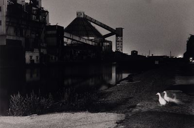 Red Hook Ducks, Brooklyn, New York, stampa vintage alla gelatina ai sali d'argento