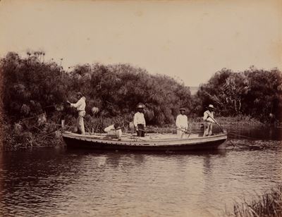 Siracusa - Fiume Anapo e Raccolta dei Papiri