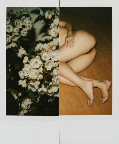 Senza titolo (fiori e bondage), Polaroid