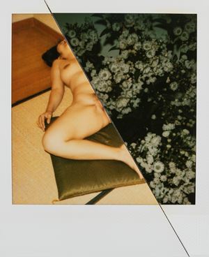 Senza titolo (Fiori e bondage)