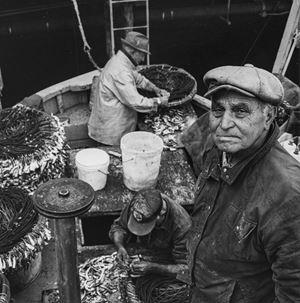 Armanino Davide - Fisherman, San Francisco