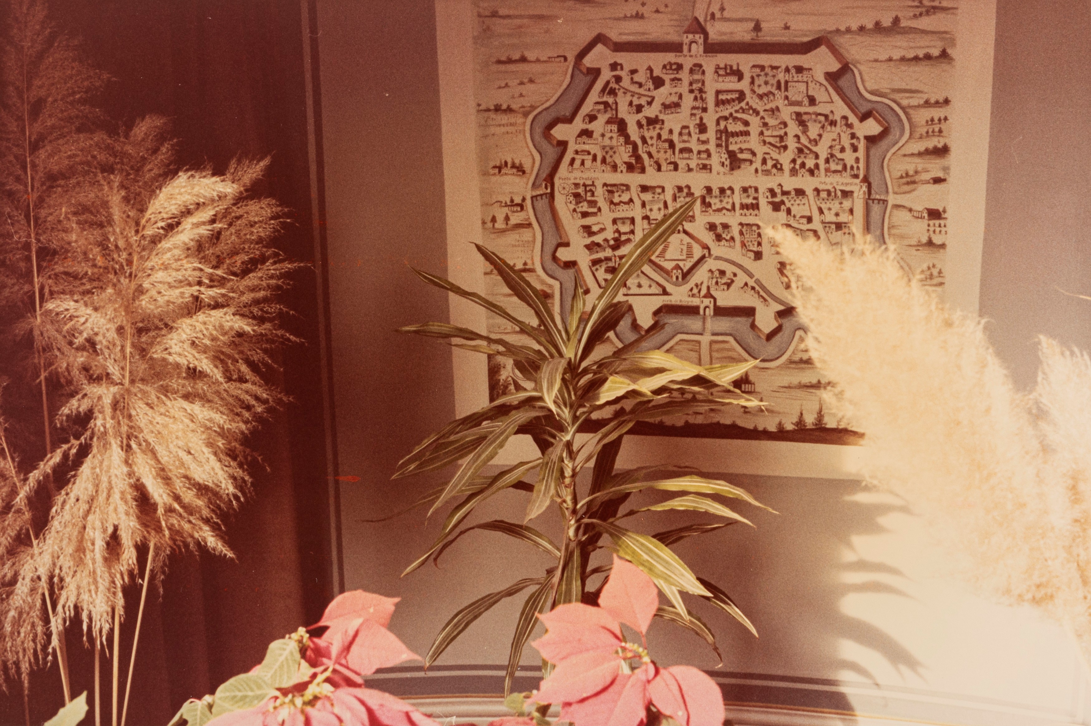 Portfolio Comune di Modena