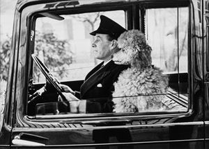 La Dolce Vita, London