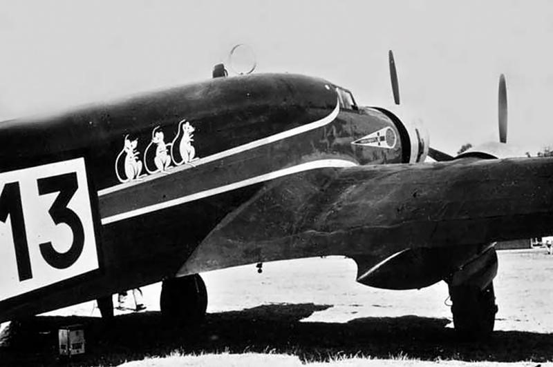 Amedeo Paradisi, Distintivo Aeronautica Nazionale Repubblicana del 1° gruppo caccia 'Asso di Bast...