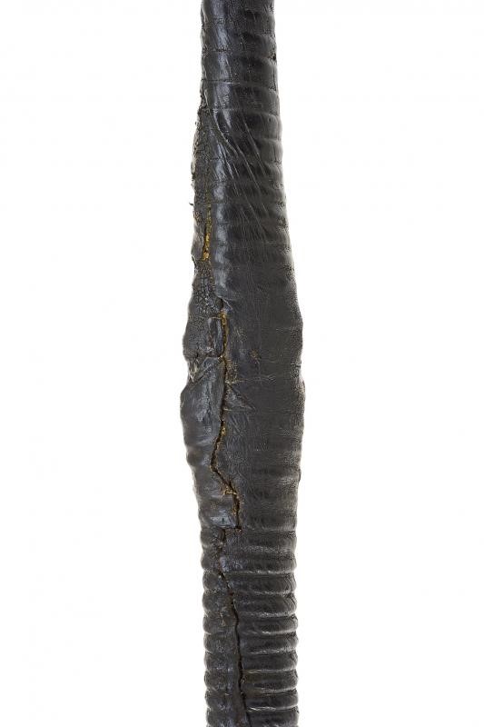 Spada a due mani, Bella flamberga, Germania, circa 1625