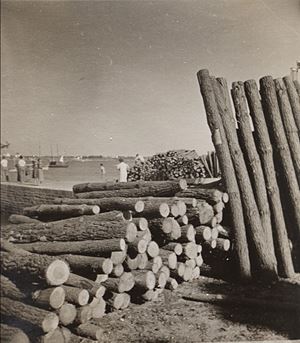 Henri Florence - La Trinité-sur-Mer, Bretagne