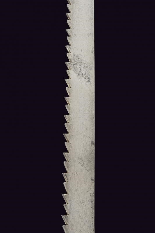 Spada a sega per falegnami di fanteria, Regno di Sardegna, 1845