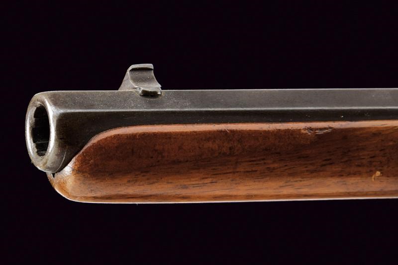 Gasser, Fucile revolver cal. 10,5 mm, Austria, 1870-1880