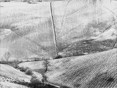 Paesaggio - Stampa vintage alla gelatina ai sali d'argento