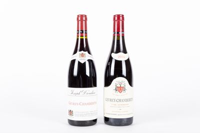 Selezione Gevrey-chambertin (2 Bt)