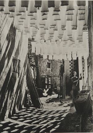 Rodger George - The Wod Suq in Tunis