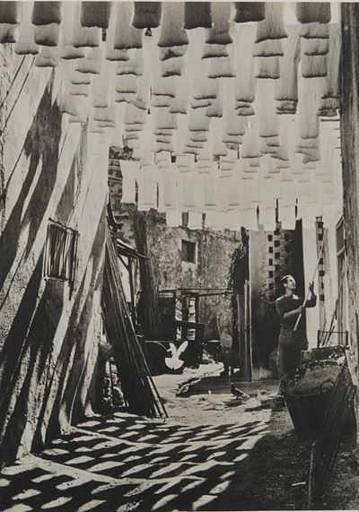 The Wod Suq in Tunis, Stampa al platino palladio, 1958