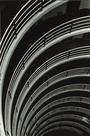 Moncalvo Riccardo - Curve