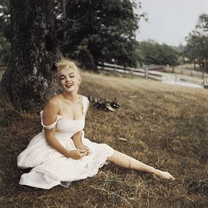 From the series "The Joy of Marilyn"