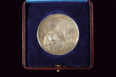R. Comtini, Medaglia coloniale in argento, Regno d'Italia