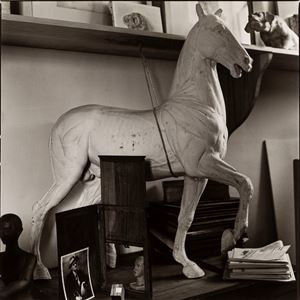 Biamino Bruna - Il cavallo