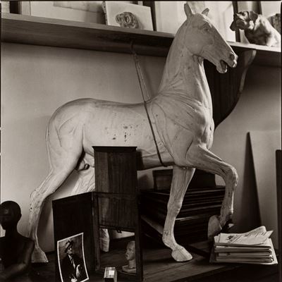 Il Cavallo