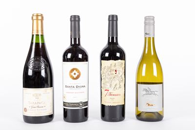 Selezione Sud America (4 Bt)