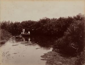 Siracusa, Sorgente del fiume Ciani e piante di papiri