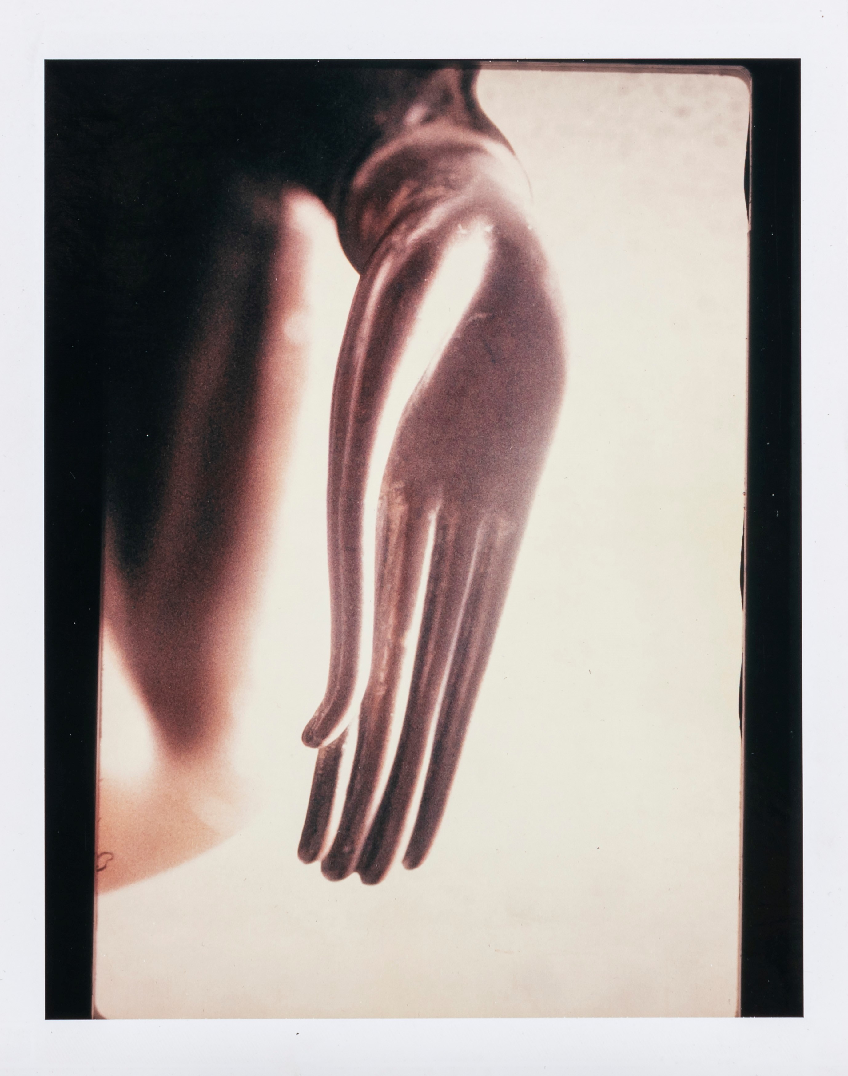 Toni Meneguzzo - Senza titolo (Due polaroid, 1988)