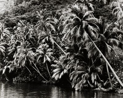Moorea - Stampa vintage alla gelatina ai sali d'argento