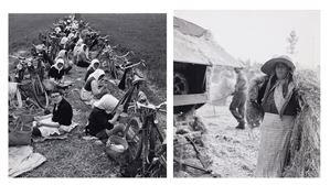 Untitled (Rice weeder, hemp and farm laborer and rice weeder lunch)