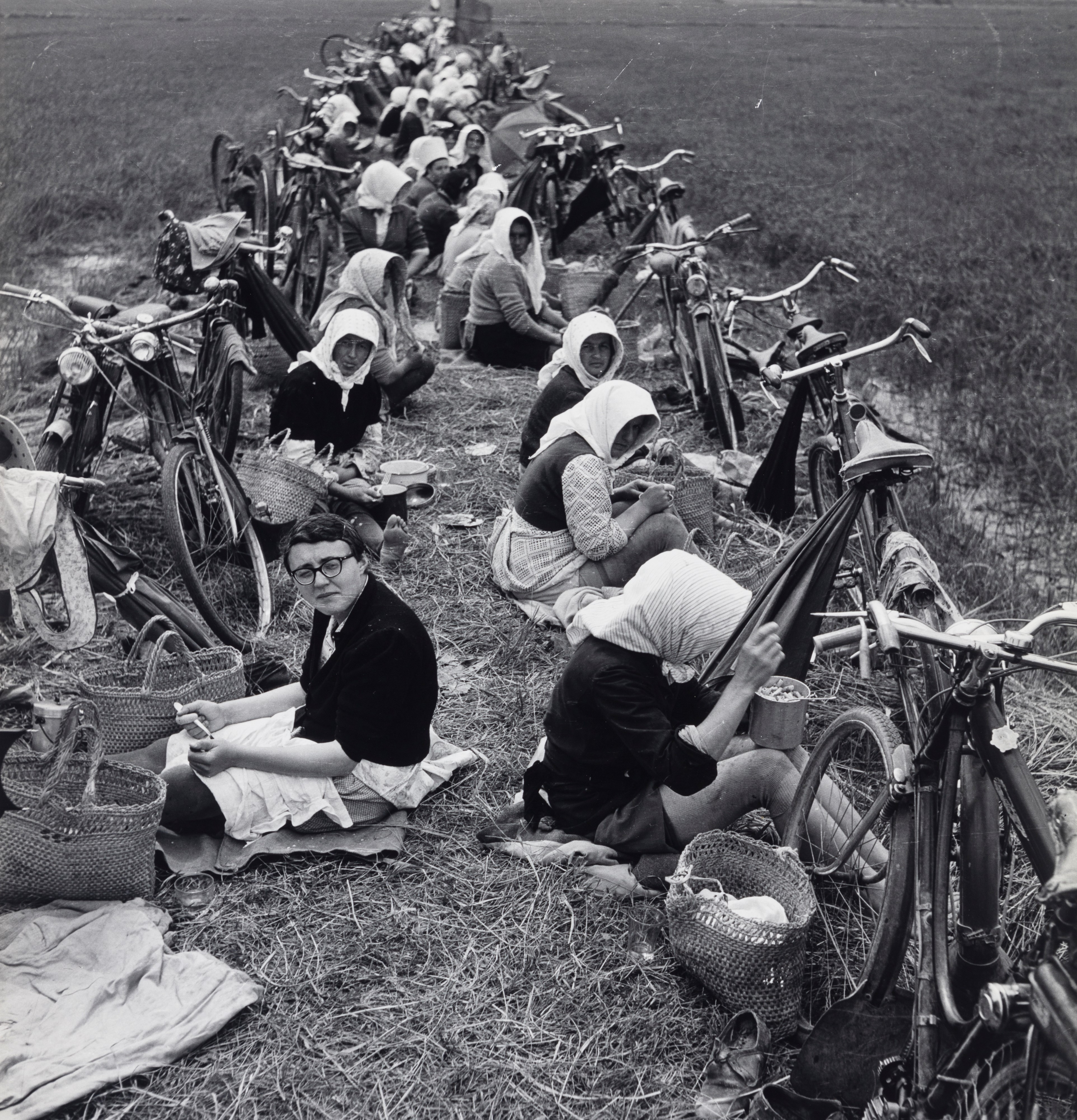 Senza titolo (Mondina, canapa e bracciante e pranzo delle mondine)